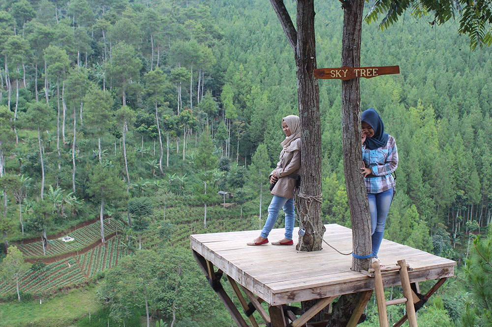Image result for sky tree The Lodge Maribaya